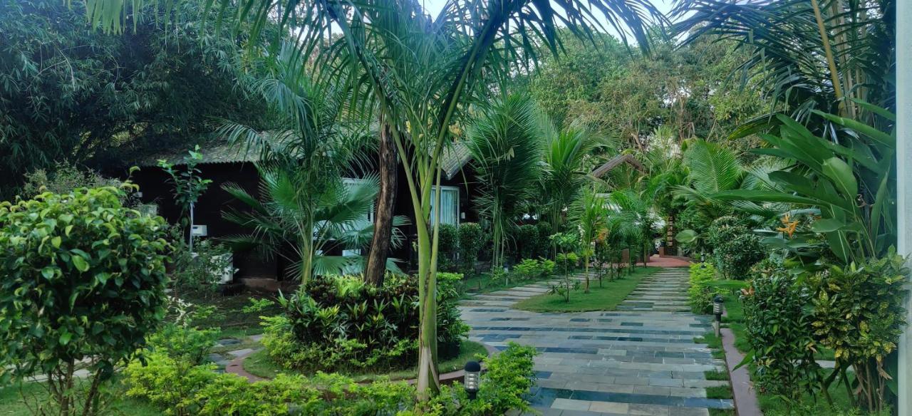 Jp Resort Arambol Eksteriør billede